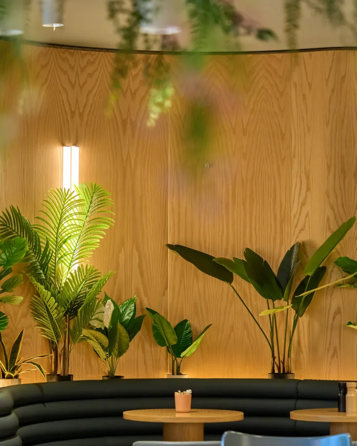 A quiet lounge corner with warm wood panelling and tropical plants