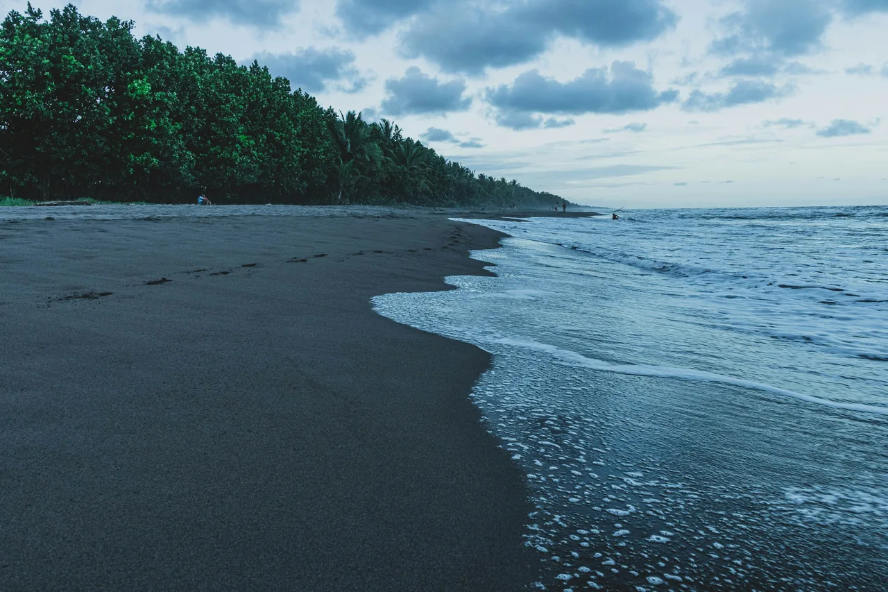 Trees along a quiet stretch of shoreline