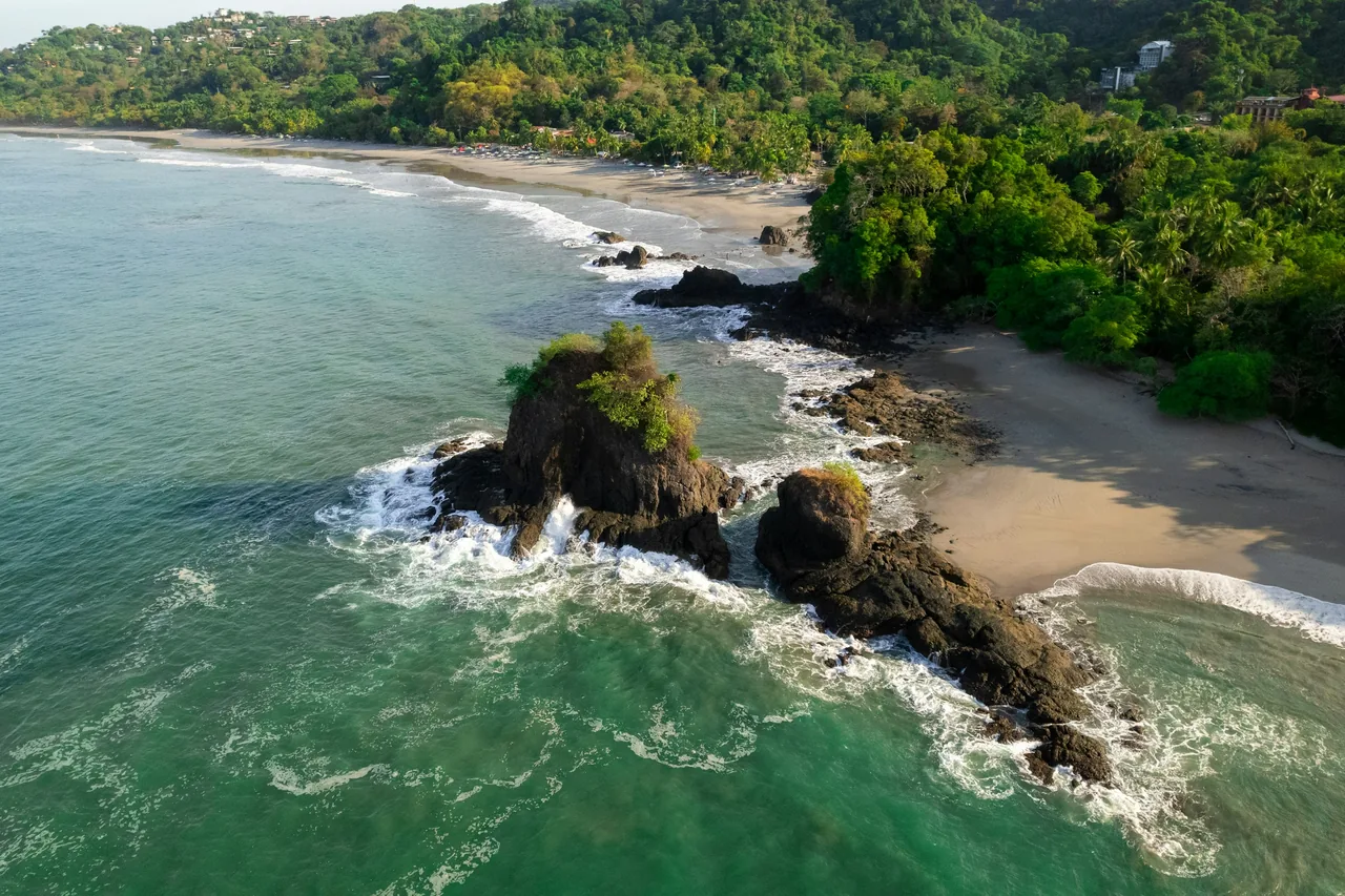 Rainforest meeting the sea from above